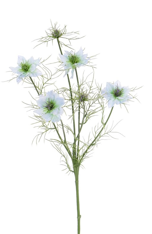 Černucha damašská svetlo modrá/Nigella, stonka so 4 kvetmi, 2 púčiky, 66cm