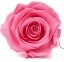 Stabilizovaná ruža KIARA XL pink (hlava)