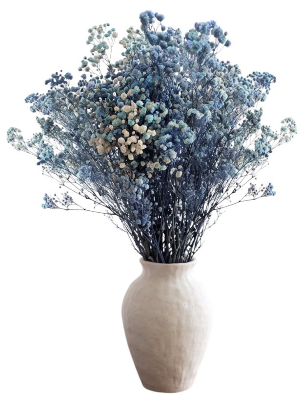 Nevěstin závoj/stabilizovaná Gypsophila svazek/kytice MODRÁ/AZUROVÁ ŽÍHANÁ