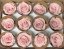 Stabilizovaná ruža Rose Amor  M+ baby pink/svetlo ružová (hlava)