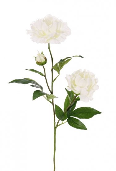Pivonka bielá 'real touch' umelá 2 kvety (Ø 13 a Ø 10cm) , 1 púčik, 73cm