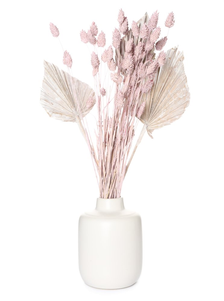Phalaris