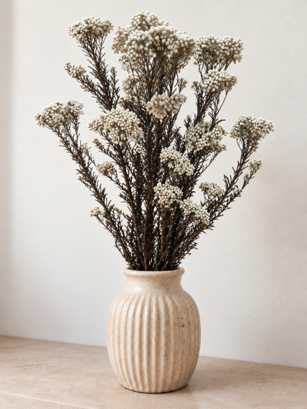 Stabilizovaný ozothamnus diosmi prírodný biely zväzok - Balenie: 90g-95g Stabilizovaný ozothamnus diosmi prírodný biely zväzok - Balenie: 90g-95g