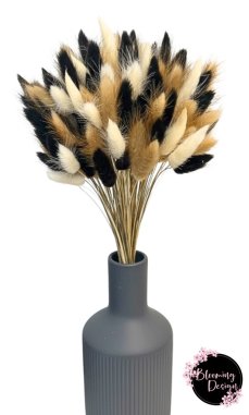 Sušená kytica 100ks zajačieho chvostíka, čierna/biela/prírodná