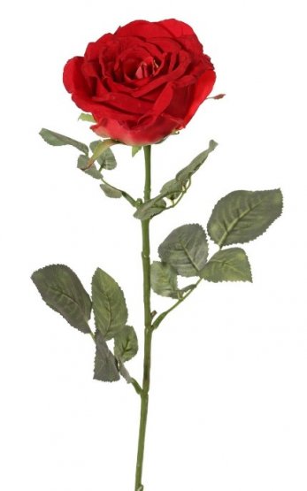 Ruža červená plnokvětá 'ako naozajstná' Ø 10cm, 75cm