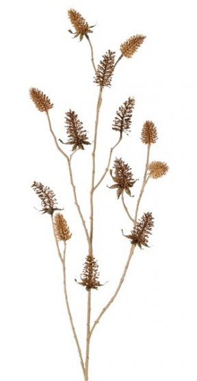 Větvička s bodláky, dojem sušené rostliny, HNĚDÁ (7x 6,5cm a 6x 5cm), 96cm