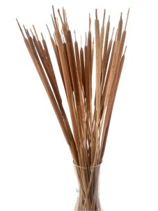 Sušená trstina kytice/zväzok prírodná 100g