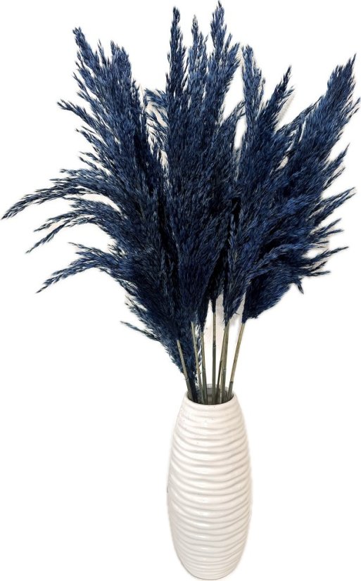 Sušená pampová tráva (pampas) tmavě modrá 10ks, 50-60cm Sušená pampová tráva (pampas) tmavě modrá 10ks, 50-60cm
