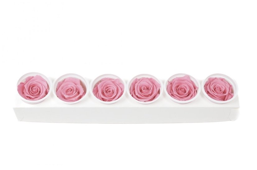 Stabilizovaná růže KIARA XL bridal pink (hlava)
