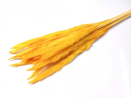 Pluma žltá sušená dekoratívna tráva zväzok 20ks