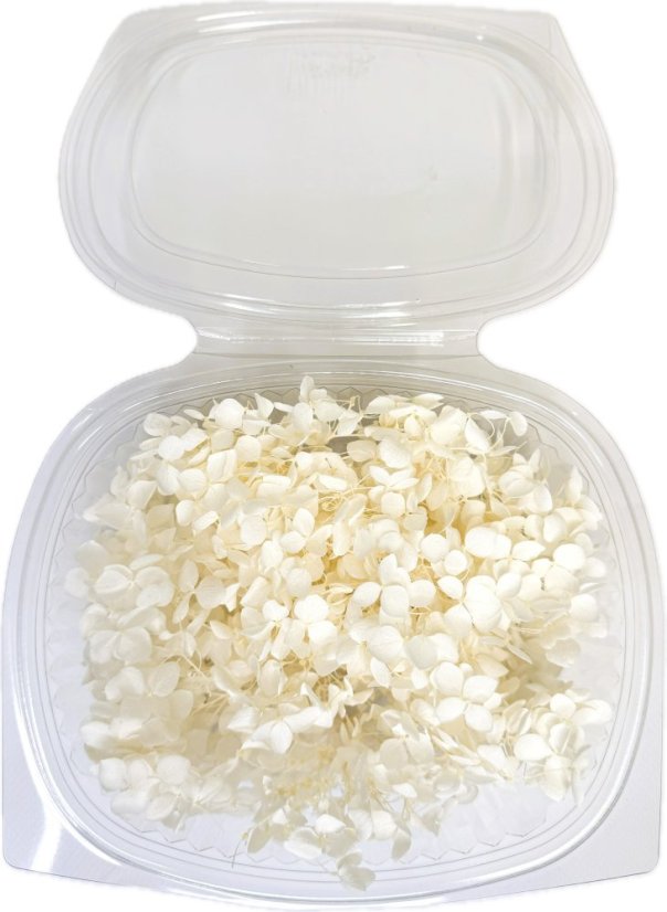 Stabilizovaná hortenzia CABEZA bielená KVETY 15g Stabilizovaná hortenzia CABEZA bielená KVETY 15g