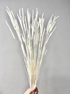 Sušená travina Phleum bělená 60cm, svazek