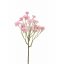 Begónie keřík, 18 světle růžových květů, 57cm
