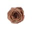 Stabilizovaná ruža Rose Amor  S cappuccino DARK (hlava)