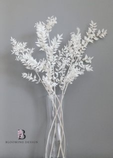 Stabilizovaný ruskus (ruscus) kytice/svazek bělený