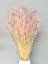 Nevěstin závoj/stabilizovaná Gypsophila svazek/kytice bělená/baby pink - Balení: 90g-95g