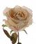 Růže vzhled sušená, nádech do sepia rose, Ø 11cm, 66cm