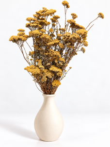 Sušený rebríček (Achillea) prirodný žltý zväzok/kytica