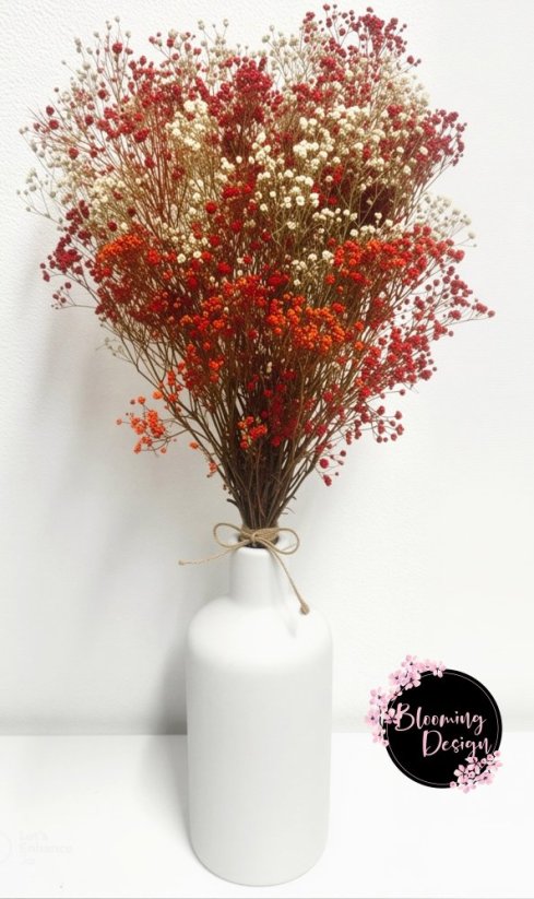 Kytice ze stabilizované gypsophily, champagne/červená