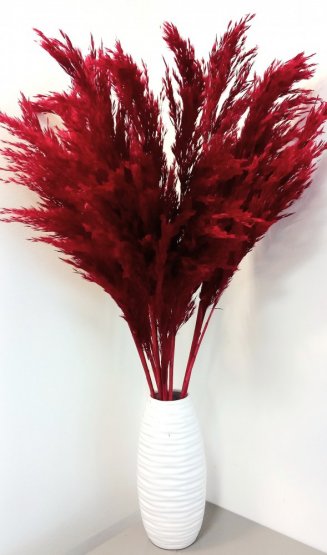 Sušená pampová tráva (pampas)  červená zväzok 10ks, 80cm