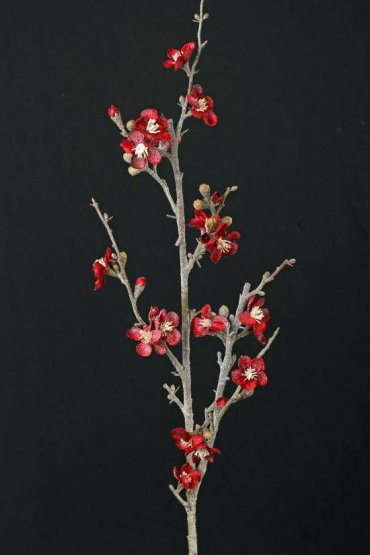 Větev s ojíněnými/zmrzlými květy jabloně, BORDÓ, 91cm