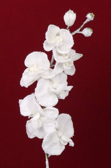 Orchidej posněžená bílá, krásné zpracování, 76cm