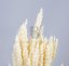 Sušená pšenica bielená zväzok