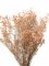 Nevěstin závoj/stabilizovaná Gypsophila svazek/kytice sepia rose/starorůžová