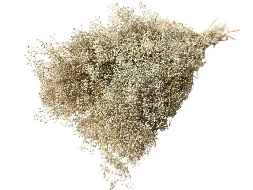 Stabilizovaná mini Gypsophila svazek/kytice přírodní béžová - Balení: 45g
