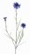 Chrpa modrá větvička 2 květy, 1 poupě, hebký stonek s listy, jako skutečná, 70cm