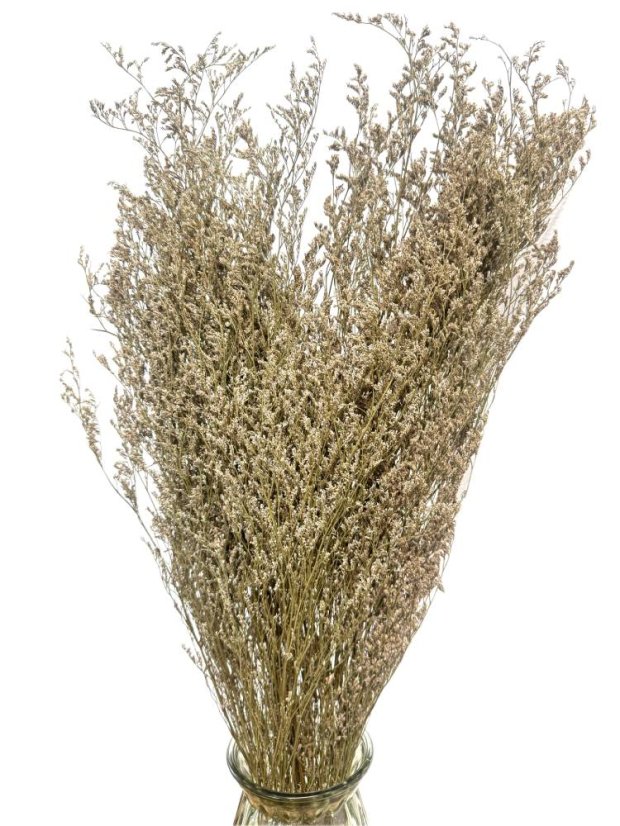 Limonium/Limonka sušená přírodní svazek - Balení: 50g