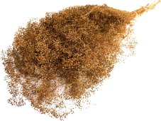 Stabilizovaná mini Gypsophila svazek/kytice terracotta