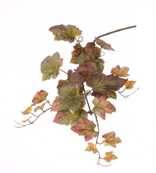 Listy vinné révy umělé, podzimně zbarvené, větvička 72cm