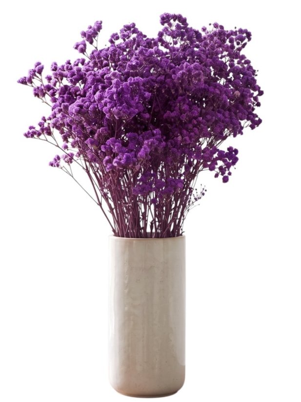 Nevěstin závoj/stabilizovaná Gypsophila zväzok/kytica FIALOVÁ