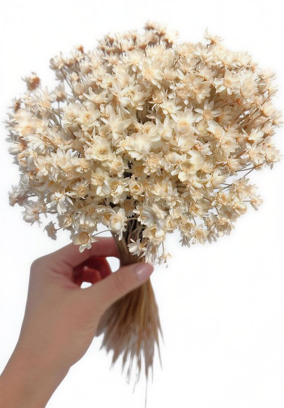 Sušená glixia prírodná biela, kytica/zväzok 50g