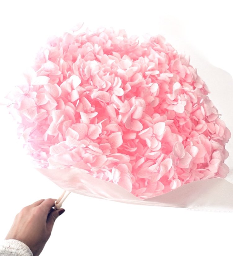 Stabilizovaná hortenzie CABEZA světle růžová XL