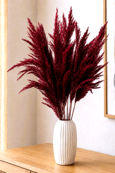 Sušená pampová tráva (pampas) vínová svazek 10ks, 50cm-60cm