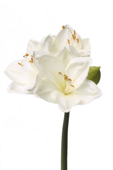 Amarylis 'exclusive' umělý - bílý,  3 velké květy 54cm, jedno poupě