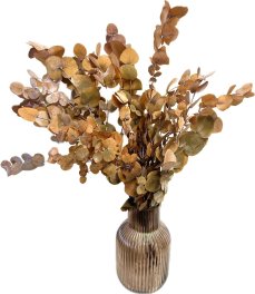 Stabilizovaný eukalyptus ESPIRAL hnědý, bežový, kytica/zväzok