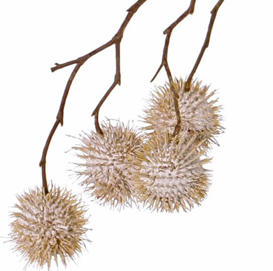 Platan javorolistý vetvička s plodmi, prírodná, 8 plodov (Ø 3,5cm), 81cm