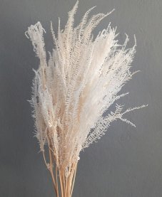 Stabilizovaná kapradina bělená svazek 60-80cm