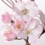 Sakura/čerešňové kvety rozkvitnutá vetvička, SVETLO RUŽOVÉ kvety, gumová stonka, 36cm