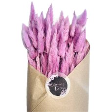 Sušený lagurus (králičí chvostík) pastelovo fialovy
