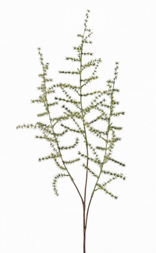 Asparagus umělá větvička ZELENÁ, jako opravdový, detaily, 73cm