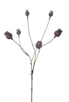 Stonka so 6 makovicami, drobné temne fialové, 68cm