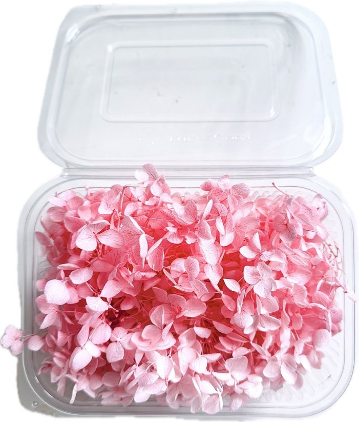 Stabilizovaná hortenzia CABEZA ružová KVETY 10g