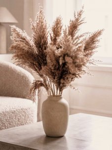 Sušená pampová tráva (pampas) přírodní odstín svazek 10ks, 50-60cm
