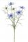 Černucha damašská blankytno modrá/Nigella, stonka so 4 kvetmi, 2 púčiky, 66cm