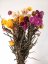 Helichrysum, slamienka mix barev, zväzok 50g
