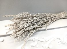 Stabilizovaná levandule bílá vintage svazek